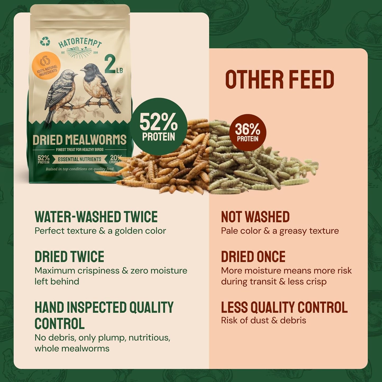 Hatortempt Dried Mealworms - 2 Lb Bag - High Protein Chicken Feed, Mealworms for Birds & Chickens - Meal Worms for Wild Birds & Turtles