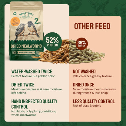 Hatortempt Dried Mealworms - 2 Lb Bag - High Protein Chicken Feed, Mealworms for Birds & Chickens - Meal Worms for Wild Birds & Turtles