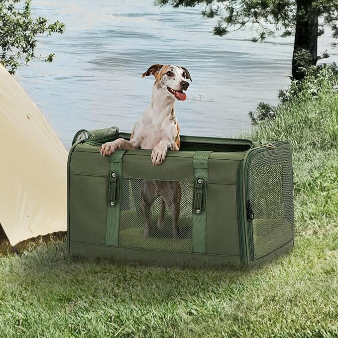 Petsfit 19x12x12 Pet Carrier for Large Cats (up to 20 lbs), Soft-Sided Small Dog Travel Carrier, Upgraded with Patented Buckle and Soft Padding, Ideal for Car Road Trips Green