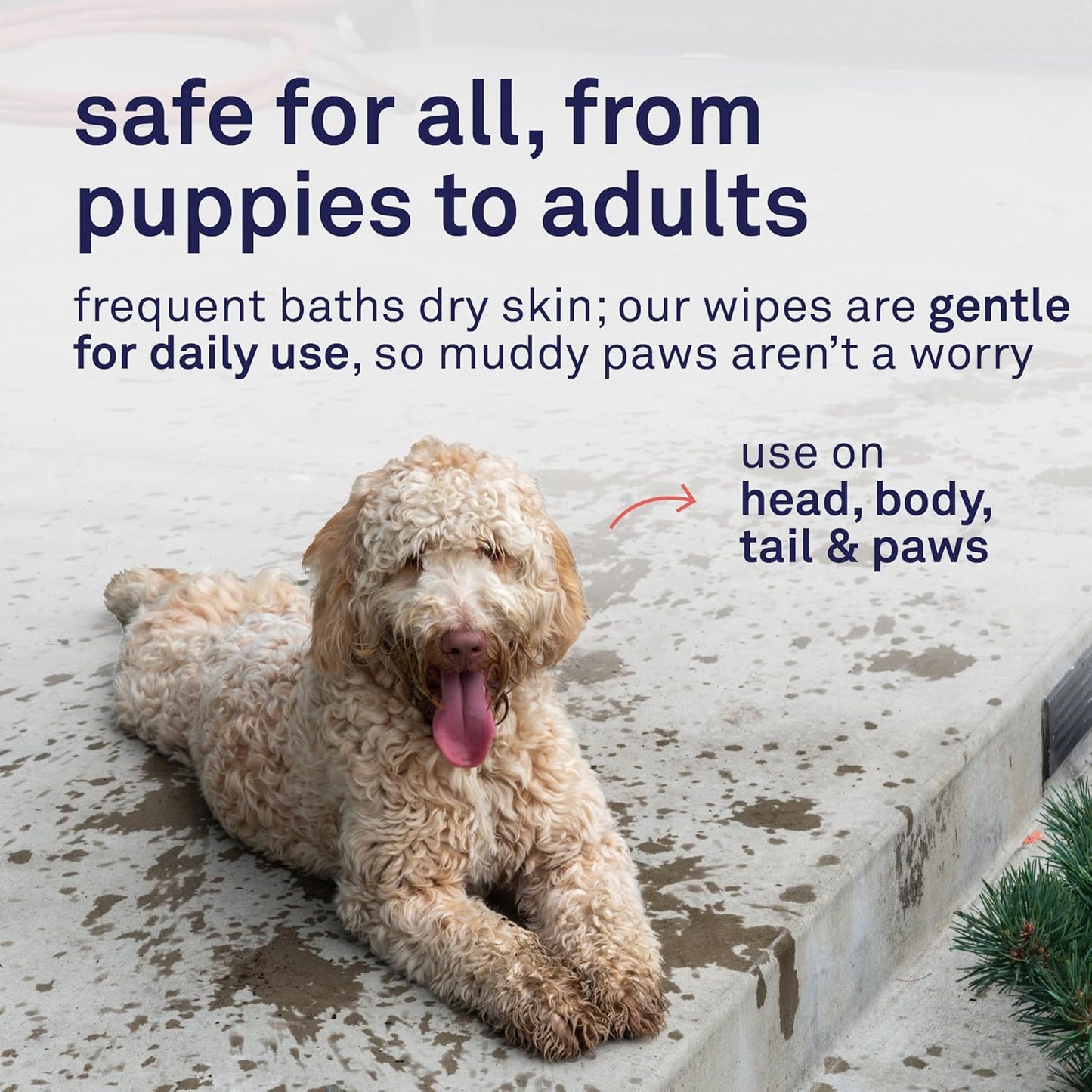 Petpost Large Grooming Wipes for Dogs | 70 Count Deodorizing Dog Cleaning Wipes with Coconut Extract & Aloe | Gentle Pet Wipes with Cherry Blossom Scent for Full-Body Grooming