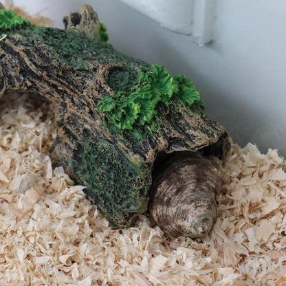 Oooct Hermit Crab Climbing Toy, Aquarium Betta Fish Hideout Caves, Resin Hollow Tree Trunk Ornament, Tank or Aquarium Decorations, Climbing and Hide Toy for Reptile Lizard Newt Hermit Crab