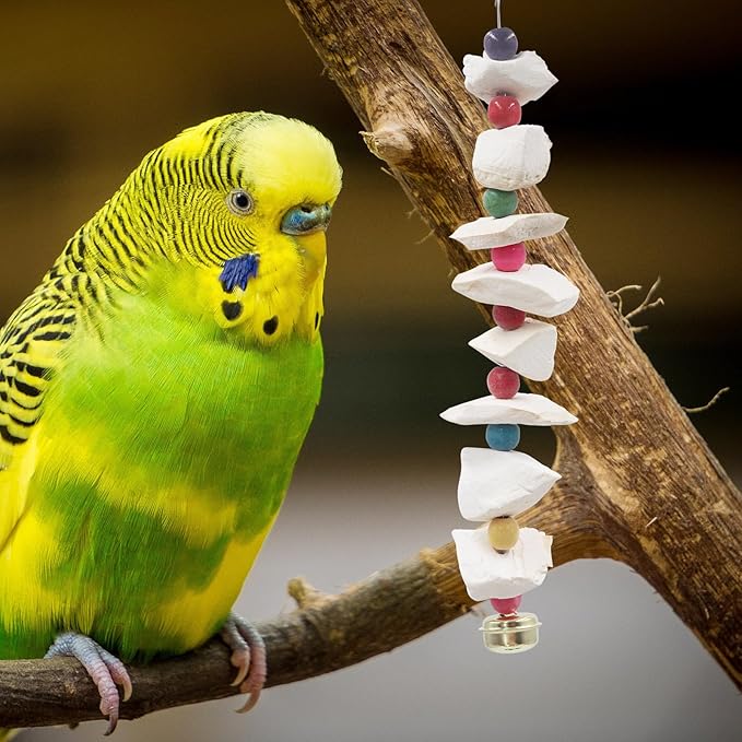2 Pack Bird Toys with Cuttlebone, Parakeet Toys, Bird Beak Grinding Stone, Cage Accessories for Parakeets, Cuttlefish Bone for Budgies, Cockatiels, Lovebirds, Quakers, Small to Medium
