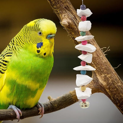 2 Pack Bird Toys with Cuttlebone, Parakeet Toys, Bird Beak Grinding Stone, Cage Accessories for Parakeets, Cuttlefish Bone for Budgies, Cockatiels, Lovebirds, Quakers, Small to Medium