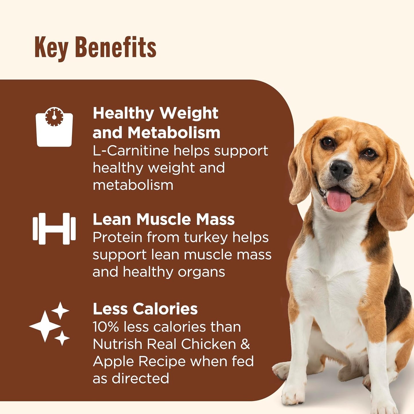 Nutrish Rachael Ray Weight Management Wet Dog Food Premium Paté Real Turkey & Pumpkin Recipe, 13 oz. Can, 12 Count