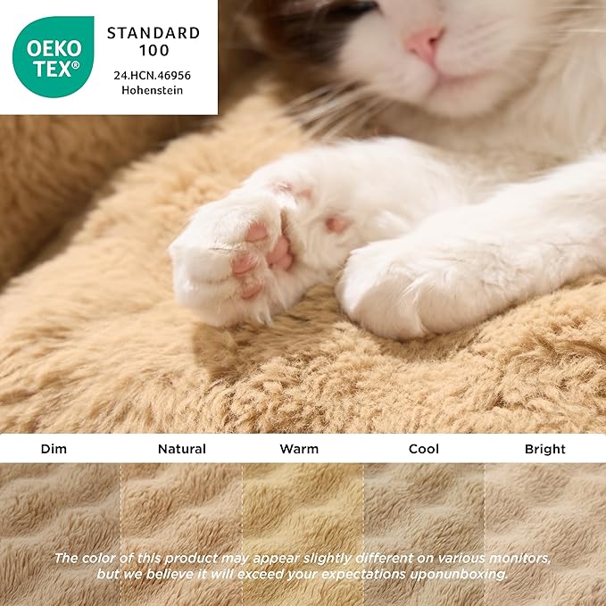 LE SURE Cute Cat Couch for Pets - Fluffy Original Bear Design Cat Beds for Indoor Cats, Fuzzy Cats Sofa with Removable Washable Cover, Supportive Pet Chair, 24inch, Almond