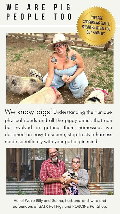 Mini Pig Harness & Leash (S/M) - Fully Adjustable, Infinity Style Lead, Step-in Harness, Potbelly Supplies, All-in-One - Ideal for Small & Medium Pet Pigs (Small, Eggshell Blue)