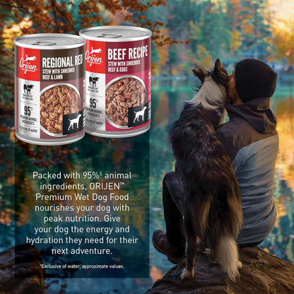 ORIJEN Real Meat Shreds Wet Dog Food Variety Pack: Regional Red + Beef Recipes 12.8oz Cans (6 Count, 3 of Each)