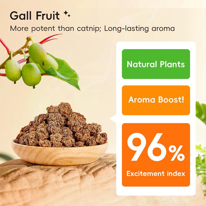 Potaroma Natural Catnip Silvervine Gall Fruit Cat Toys Set with Plush Shell, Organic Kitten Toys for Relaxing and Teething, Interactive Cat Kicker Set (2.2" Dia Tubes)