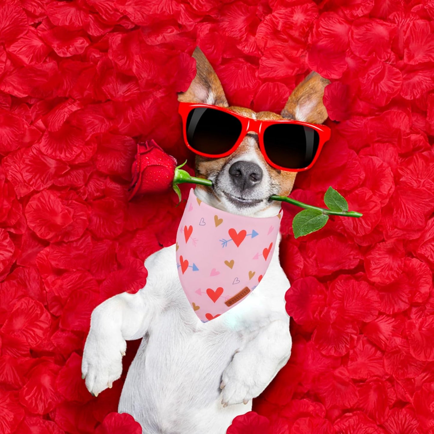 ADOGGYGO Valentine Dog Bandana, Blue Pink Heart Pet Scarf, Premium Durable Fabric, Adjustable Fit Pet Valentine Bandanas for Medium Large Dogs (Large)