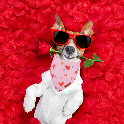 ADOGGYGO Valentine Dog Bandana, Blue Pink Heart Pet Scarf, Premium Durable Fabric, Adjustable Fit Pet Valentine Bandanas for Medium Large Dogs (Large)