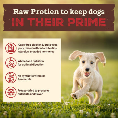 Primal Kibble in The Raw, Freeze Dried Dog Food, Puppy Recipe, Scoop & Serve, Made with Raw Protein, Whole Ingredient Nutrition, Crafted in The USA, Dry Dog Food 9 lb Bag