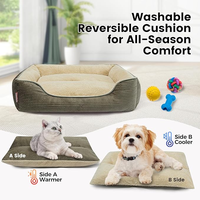 Miguel Dog Bed with Removable Cushion/Pillow for Medium Small Dogs, Washable Pet Bed with Side Easy to Wash Puppy Bed, Large Rectangle Cat Bed for Indoor Cat with Anti-Slip Bottom, Khaki 35 Inch