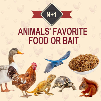 5LB Dried Black Soldier Fly Larvae for Chickens Bulk, Non GMO 86X High Calcium Grubs Than Meal Worms for Laying Hens,100% Natural BSF Larvae for Chicken Worms Wild Bird Treats, Protein Chickens Feed