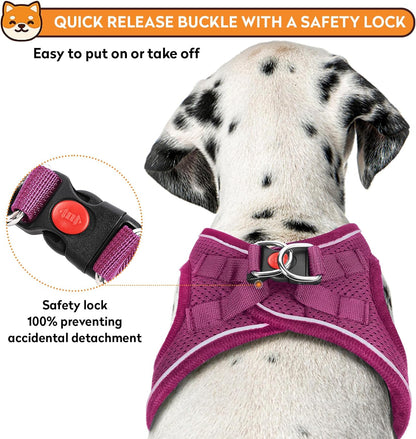 Dog Harness with Leash Set, No-Pull Step-in Reflective Pet Harness with 1 Leash Clips, Adjustable Soft Padded Easy Walk Dog Vest for Small Medium Large Dogs, Cats(Rose Red, Small)