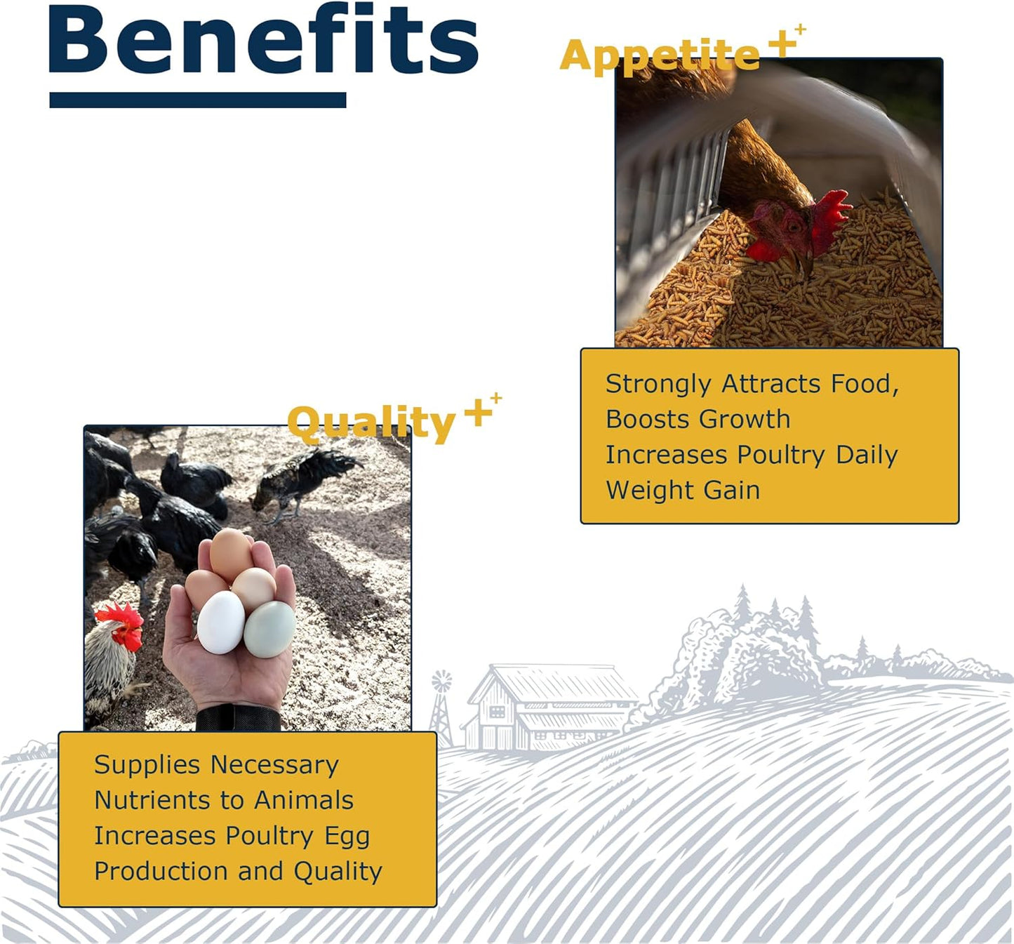 Nutrient-Rich Chicken Feed - 5LB Dried Black Soldier Fly Larvae, 100% Natural, 85X More Calcium Than Mealworms, Ideal for Molting & Laying Hens, Ducks, and Wild Birds, Reptiles and Hedgehogs