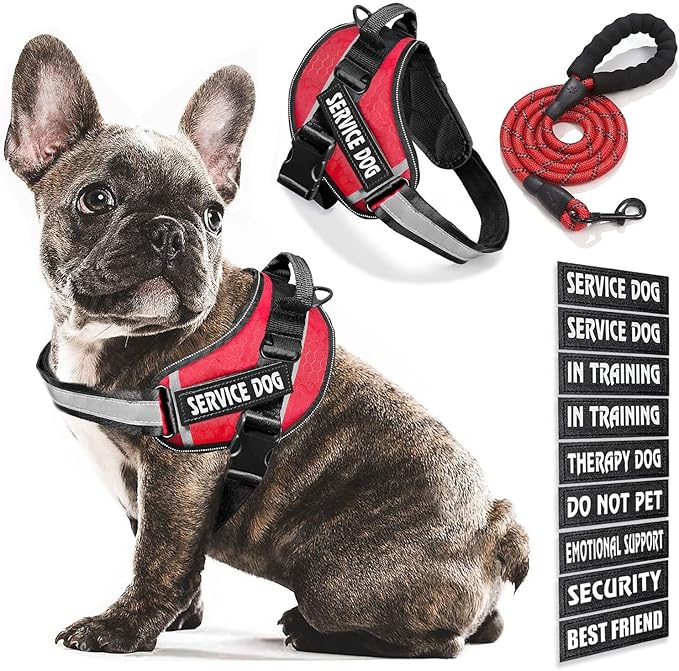 Service Dog Vest, 9 Dog Patches No Pull Dog Harness and Leash Set with Handle,Easy On and Off Pet Vest Harness with Night Safe Reflective Straps for Small Medium Large Breed Dogs