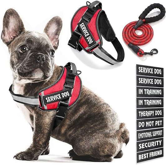Service Dog Vest, 9 Dog Patches No Pull Dog Harness and Leash Set with Handle,Easy On and Off Pet Vest Harness with Night Safe Reflective Straps for Small Medium Large Breed Dogs