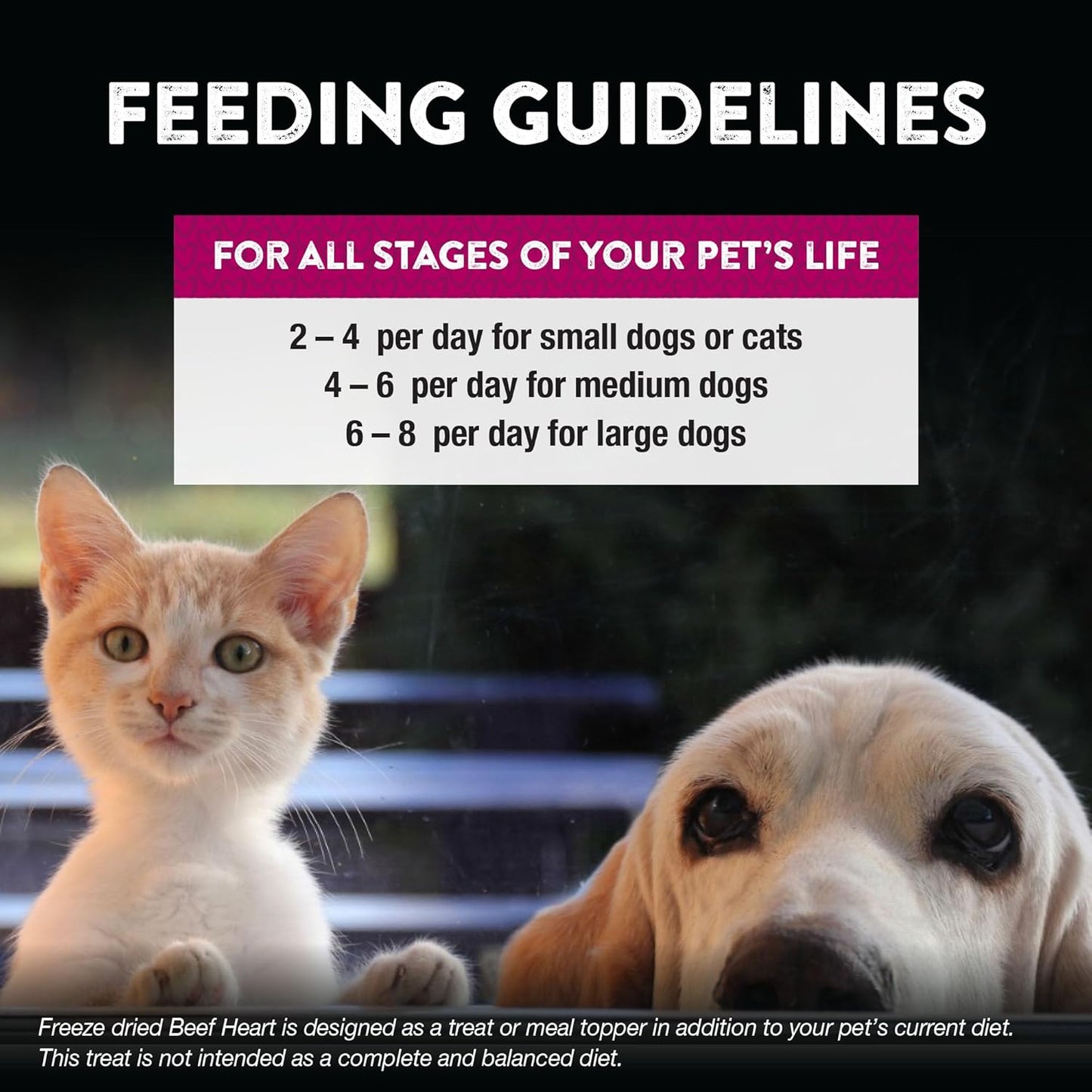 Northwest Naturals Raw Rewards Freeze-Dried Beef Heart Treats for Dogs and Cats - Bite-Sized Pieces - Healthy, 1 Ingredient, Human Grade Pet Food, All Natural, Proudly Made in USA, 10 Oz