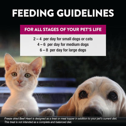 Northwest Naturals Raw Rewards Freeze-Dried Beef Heart Treats for Dogs and Cats - Bite-Sized Pieces - Healthy, 1 Ingredient, Human Grade Pet Food, All Natural, Proudly Made in USA, 10 Oz