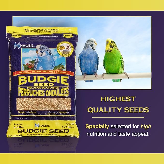 Hagen Parakeet/Budgie Staple VME Seed – Premium Blend, Nutritionally Balanced, Fortified with Vitamins & Minerals, Dust-Free Mix for Budgies, 6 lb Bag