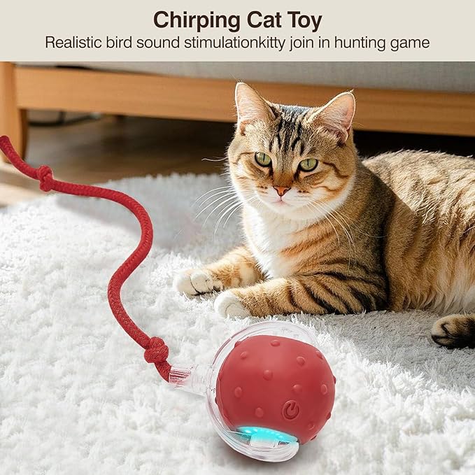 Electric Interactive Cat Toy Ball - Automatic Rolling Silicone Cat Toys for Indoor Cats, Durable Chew-Proof Motorized Kitty Ball with LED Light, Fun Exercise Toys for Bored Kittens（red）