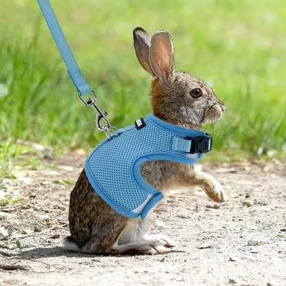 AIITLE Breathable Bunny Harness and Leash Set, Adjustable Straps & Magic Tape Design, Comfort Fit Vest for Puppies, Cats, Squirrels, Rats, Bunnies, Ferrets, Outdoor Walking, Blue S