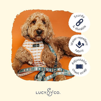 Lucy & Co. Cute Reversible Dog Harness Walking Halter - Best Designer Pet Harnesses for XS - XL Dogs - Padded Adjustable Vest for Easy Walking (Small, Neutral Brown Plaid with Blue Trees)