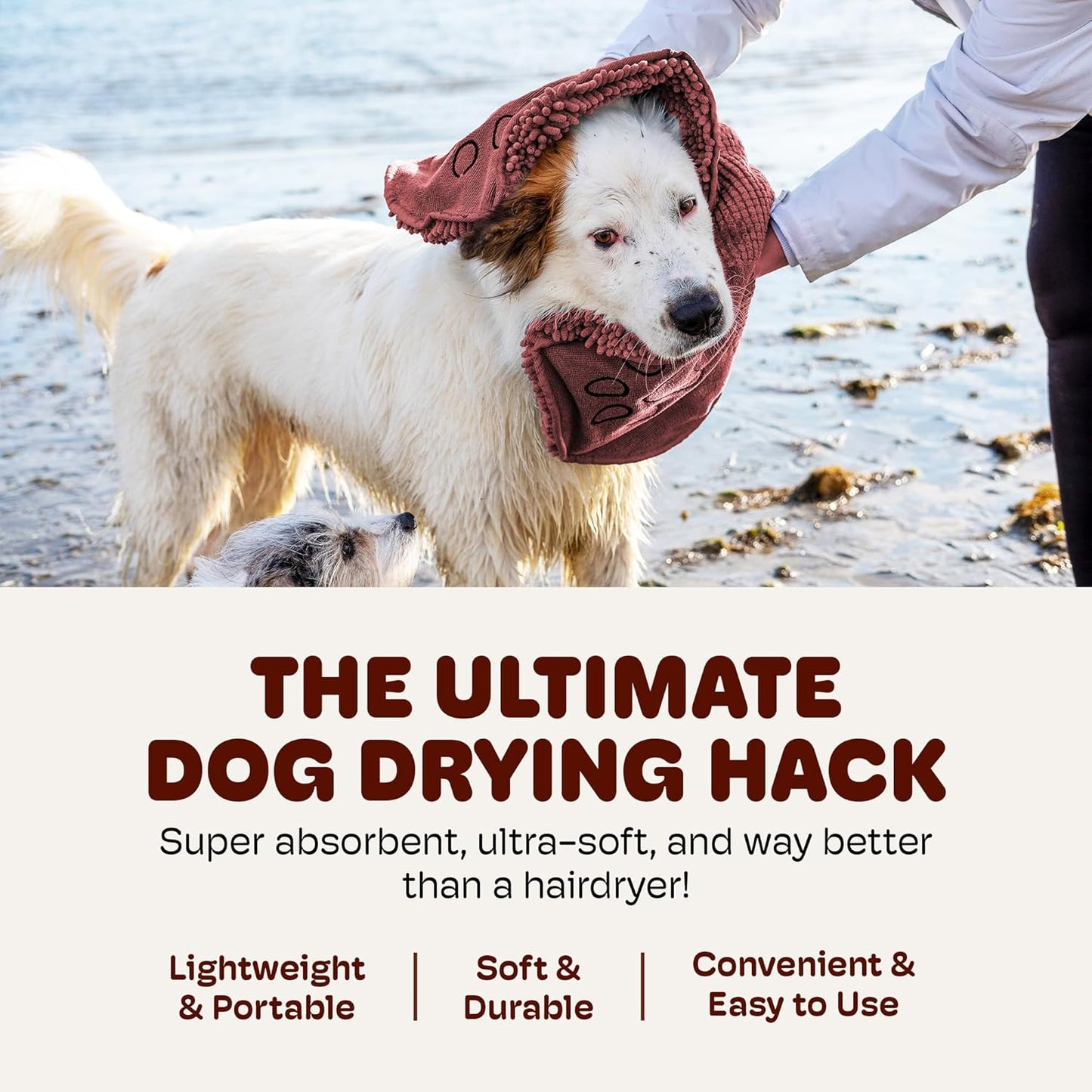 Dog Gone Smart The Dirty Dog Shammy - Fast Drying Plush Shammy Towel with Dual Hand Pockets and Elastic - Super Absorbent Microfiber and Machine Washable - Brown