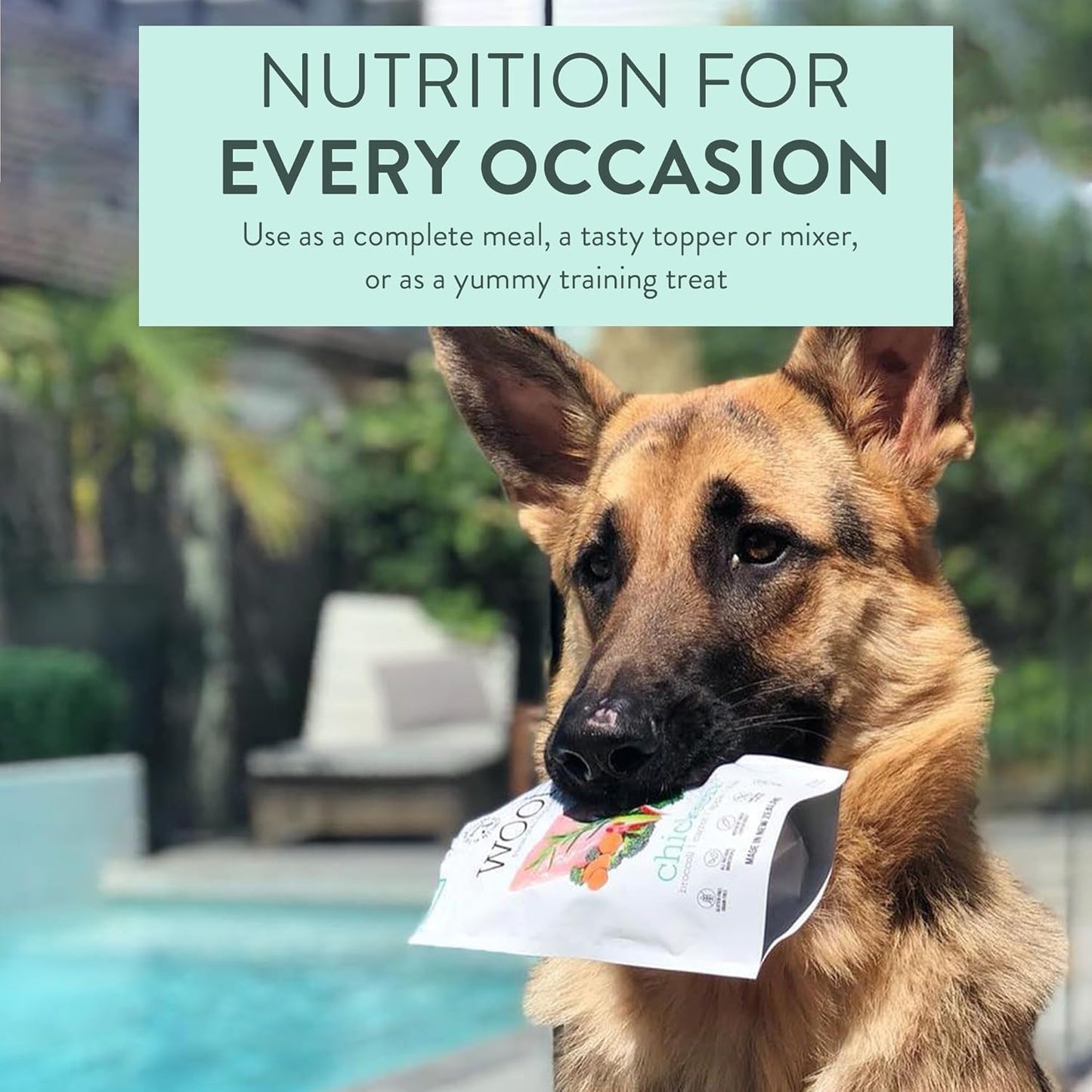 The New Zealand Natural Pet Food Co Woof Freeze Dried Dog Food - Chicken Recipe, High Protein, Dog Food Topper & Dog Treats, All Life Stages, 1.76 oz