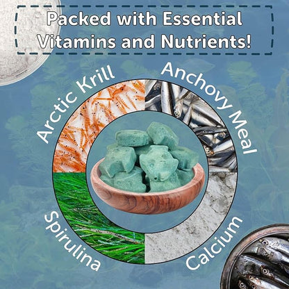 Aquatic Foods Inc. Spirulina Enriched Calcium Feeders for Shrimp, Snails, Crabs, Crayfish, Pleco, Catfish, All Tropical Fish…35 Count Sm Jar