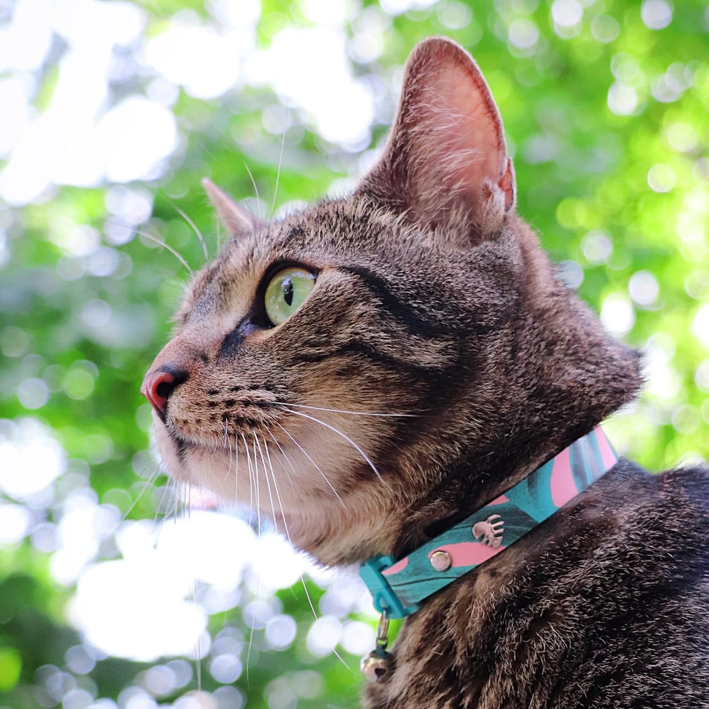 Kittyrama Botanicals Monstera Cat Collar. Award Winning. Hypoallergenic, Quick Release Breakaway, Comfy & Soft. Vet Approved. Other Styles Available
