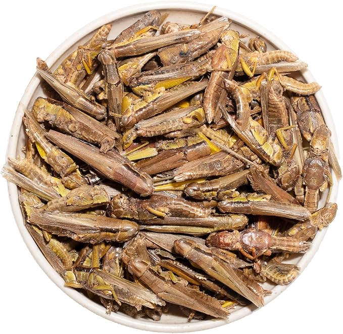 Freeze Dried Grasshoppers – 4.5 Oz High Protein Freeze Dried Grasshoppers for Reptiles, Food for Bearded Dragons Lizards, Geckos, Birds, Hedgehogs