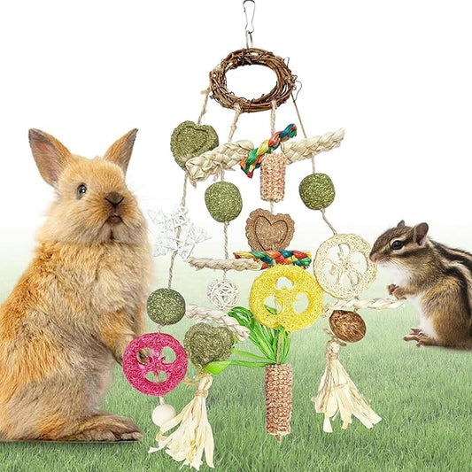 Bunny Chew Toy, Rabbits Cage Hanging Chew Toys and Treats Rattan Ring with Snacks Water Grass Wooden Block Carrot for Guinea Pigs Chinchillas Hamsters Rats and Other Small Pets Teeth Grinding