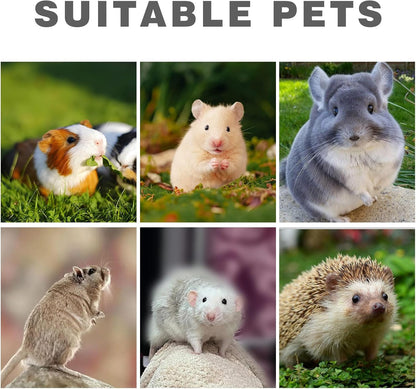 2 Pack Rat Feeding Accessories for Cage, Stainless Steel Fruit Fork and Spiral Vegetable Holder, Cage Accessories for Mouse, Hamster, Chinchilla, Rabbit and Other Small Animals