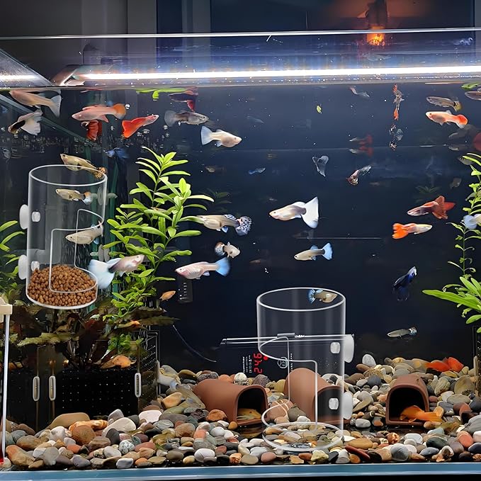 2Pcs Aquarium Fish Feeder Feeding Tray with Suction Cup, Feeding Tube Tank Divider Aquarium Breeder Box Fish Bowls Accessories Round for Turtle Shrimp Supplies Round