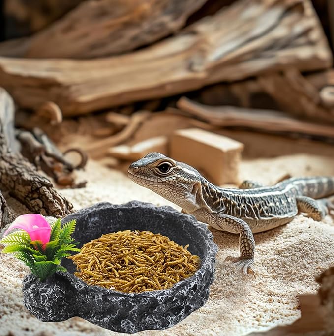 Reptile Food Dish,Rock Reptile Terrariums Water Dish, Water and Food Bowls Lizard Water Bowl for Leopard Gecko, Tree Frog, Snake, Crested Gecko, Frog