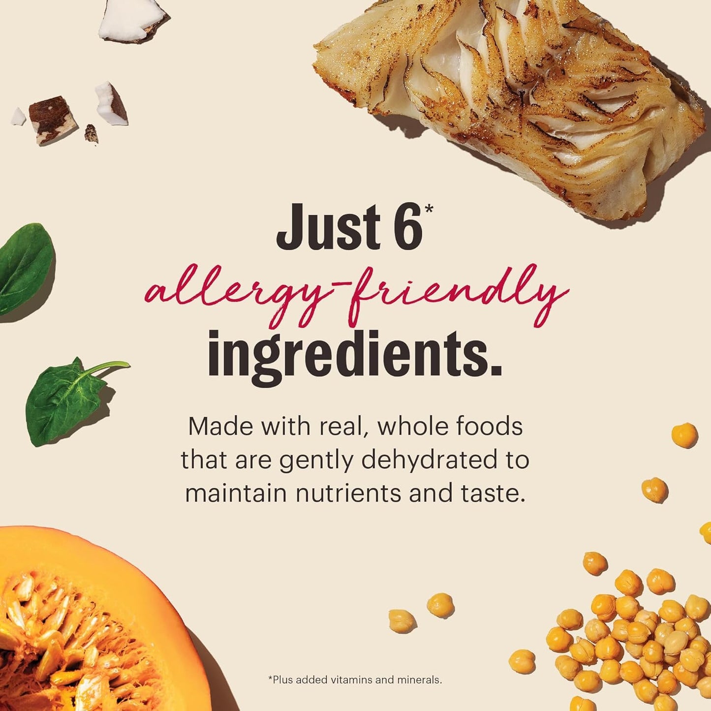 The Honest Kitchen Wholemade™ Limited Ingredient Fish Dog Food, 10 lb Box