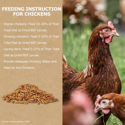 Premium Dried Black Soldier Fly Larvae for Chickens - 5LB High Calcium Supplement, Molting and Laying Support, Non-GMO & High-Protein Treats, Food for Wild Birds, Ducks, Reptile | Top Grade