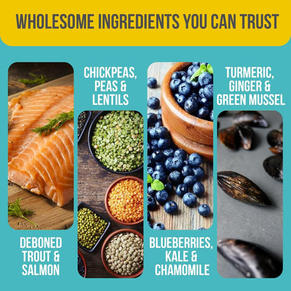 T28 Grain-Free Dog Food for Small & Toy Breeds – High Protein Trout & Salmon Meal Kibble | Chicken-Free, Limited Ingredient, Fish Dry Dog Food for Small Dogs & Puppies (4.4 Pounds)