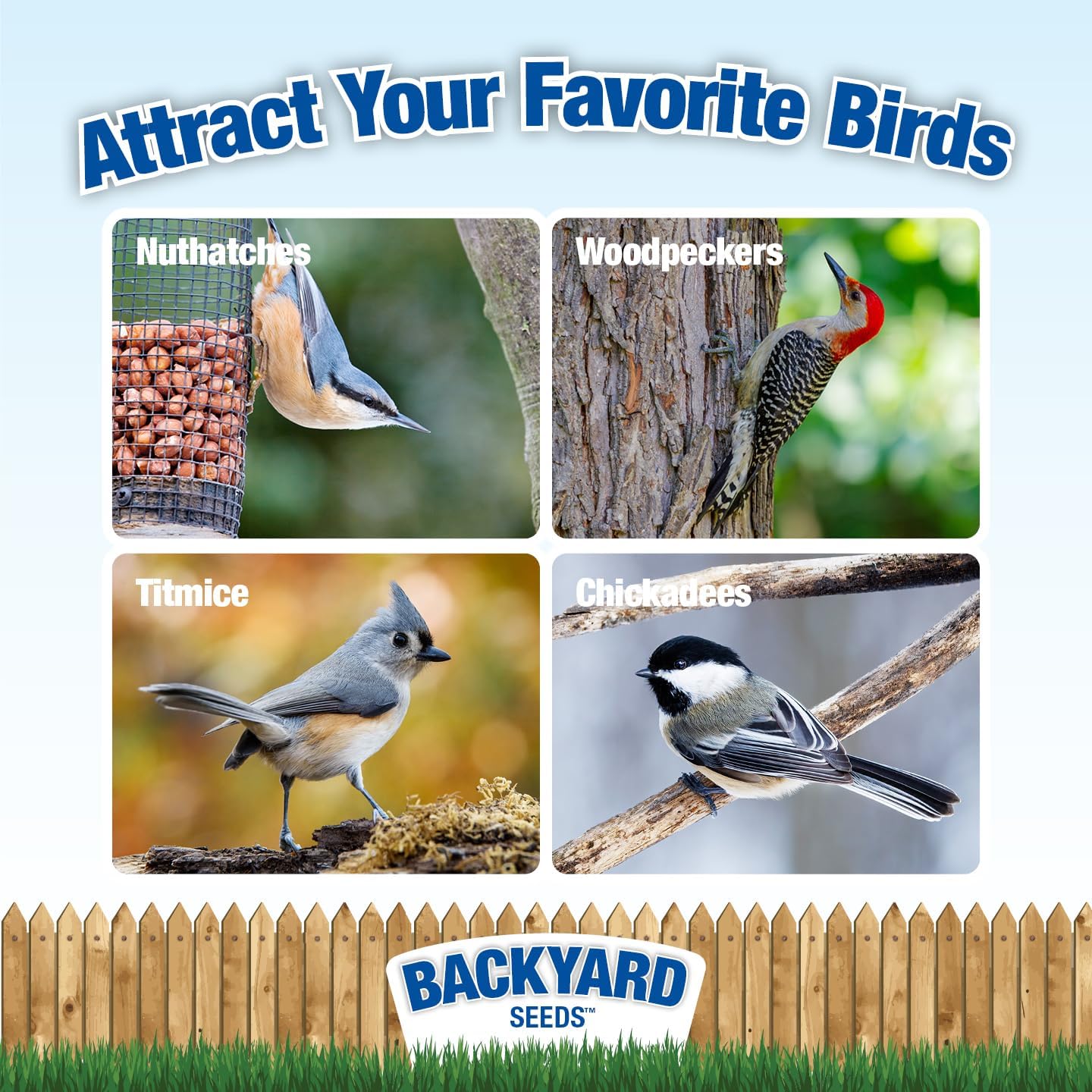 Backyard Seeds Peanut Hearts - High-Energy Wild Bird Food, 50 lbs (50 Pounds)