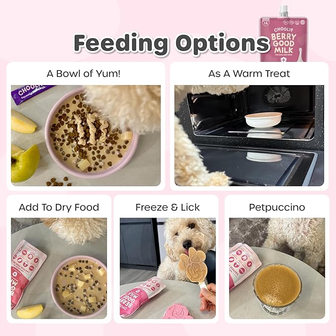 Choolip Berry Good Milk – Lactose-Free, Vitamin-Enriched Drink for Cats & Dogs | Supports Urinary Health, Digestion & Joints | Free from Grains, Gluten and Antibiotics