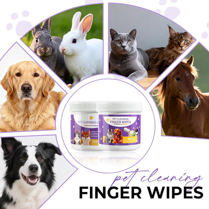 MeCids Dogs Dental Cleaning Finger Wipes 60PCS Pet Teeth Cleaning Tool Teddy Pet Small Dog Cat Cleaning Supplies