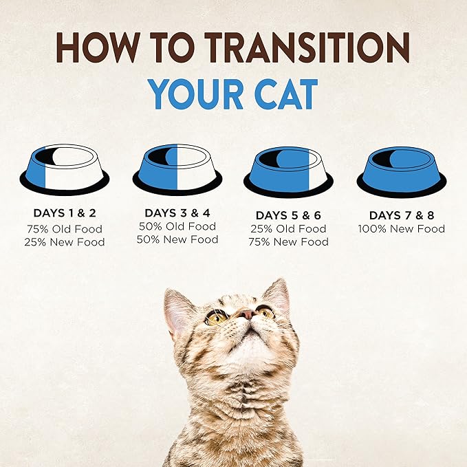 Wellness CORE Signature Selects Shredded Adult Wet Cat Food, Natural, Protein-Rich, Grain Free, 2.8 Ounce, 12 Pack (Chicken & Chicken Liver)