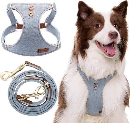 Dog Harness, No Pull Dogs Harness and Multi-Function Leash Set for Medium Dogs Easy Walk Everyday Adjustable Soft Dog Vest Harness Fashionable Dog Accessories Grey Blue-Button-Slim Large