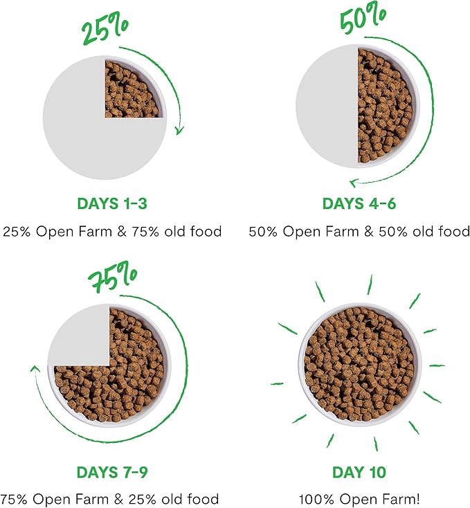 Open Farm, Ancient Grains Dry Dog Food, Protein-Rich & Nutrient Dense, 90% Animal Protein Mixed with Non-GMO Fruits, Veggies and Superfoods, Pasture Raised Lamb Recipe, 4lb Bag