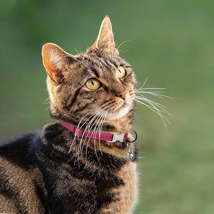Leather Cat Collar with Buckle and Removable Bell - Non Breakaway Adjustable Soft Safety Small Pet Collars for Girl Boy Cats Kitten (Pink)