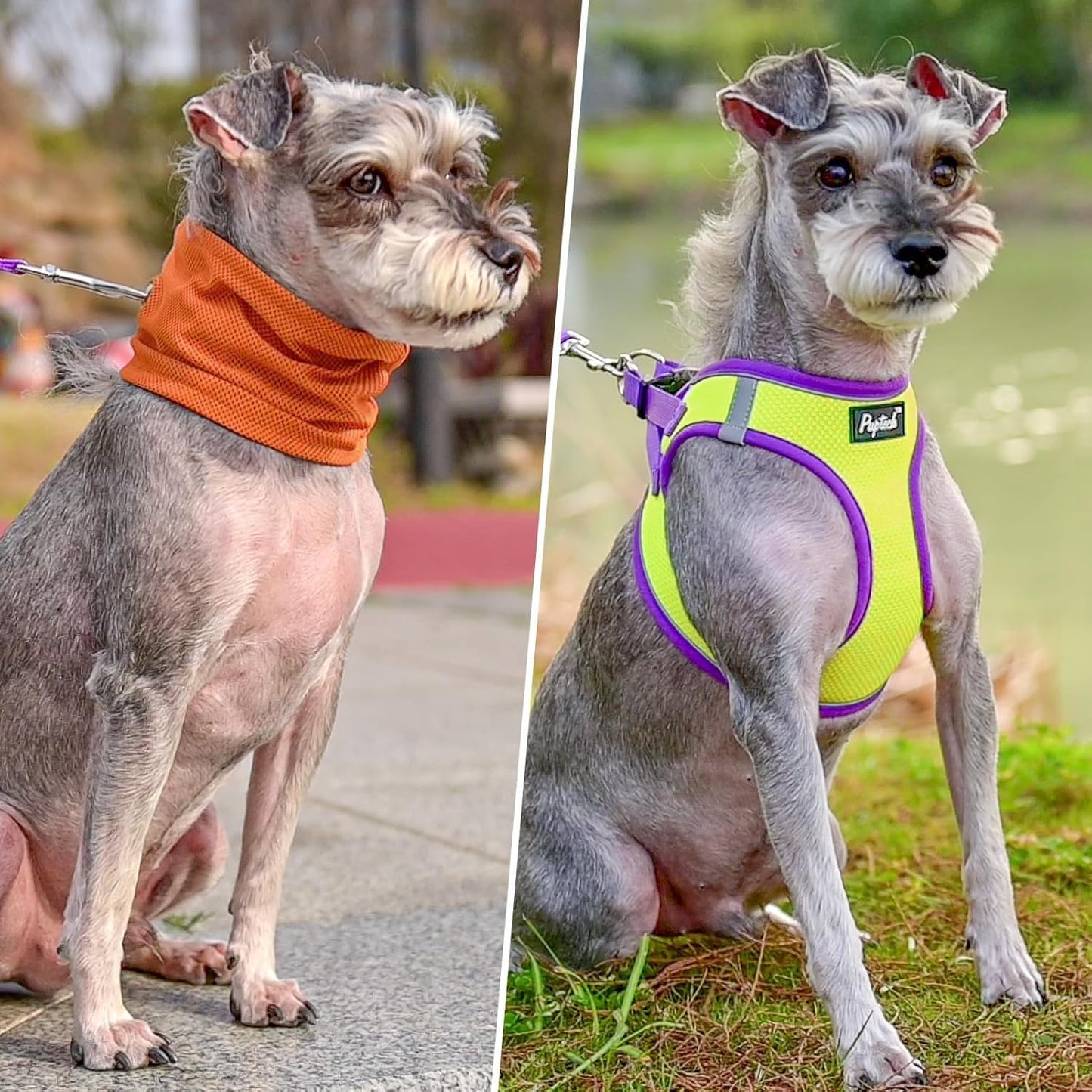 PUPTECK Adjustable Dog Harness Collar and Leash Set Step in No Pull Pet Harness for Small Medium Dogs Puppy and Cats Outdoor Walking Running, Soft Mesh Padded Reflective Vest Harnesses, GreenYellow XS