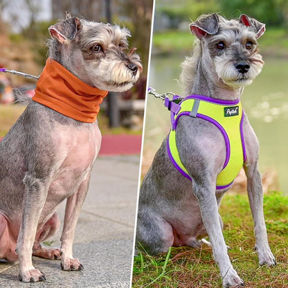 PUPTECK Adjustable Dog Harness Collar and Leash Set Step in No Pull Pet Harness for Small Medium Dogs Puppy and Cats Outdoor Walking Running, Soft Mesh Padded Reflective Vest Harnesses, GreenYellow XS