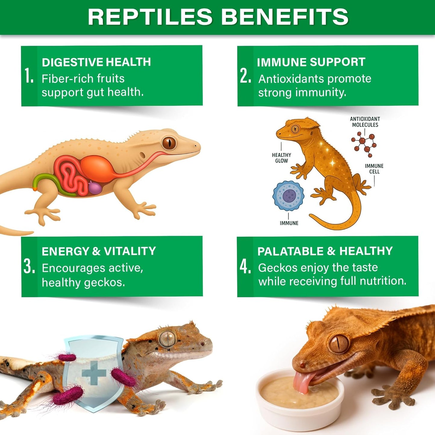 'Picky Geck' Rainforest Mist - Premium Crested Gecko Food | Immune & Digestion Support with Banana, Papaya, Fig & Blueberry | No Fillers - Only Premium Ingredients | 2oz | Made in USA