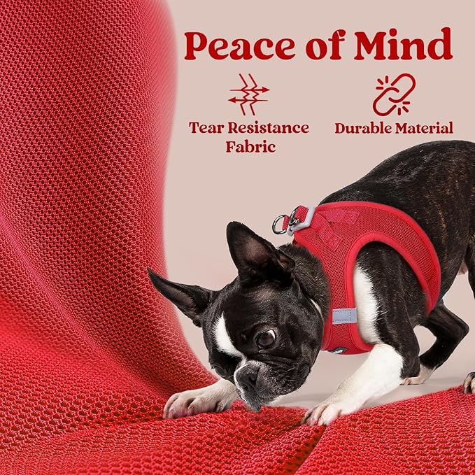 rabbitgoo Small Dog Harness, Step-in Soft Mesh Puppy Vest with Safety Buckle, Breathable Reflective Pet Harness for Small Medium Dogs, Red XL
